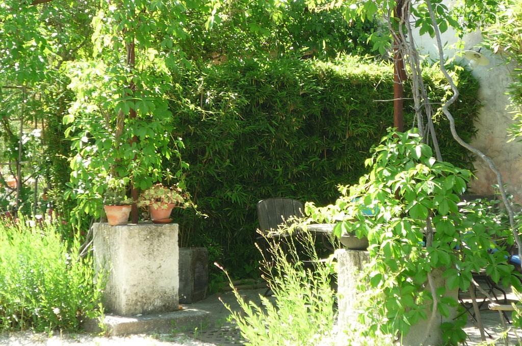 Le Mas De La Chouette Saint-Rémy-de-Provence Buitenkant foto